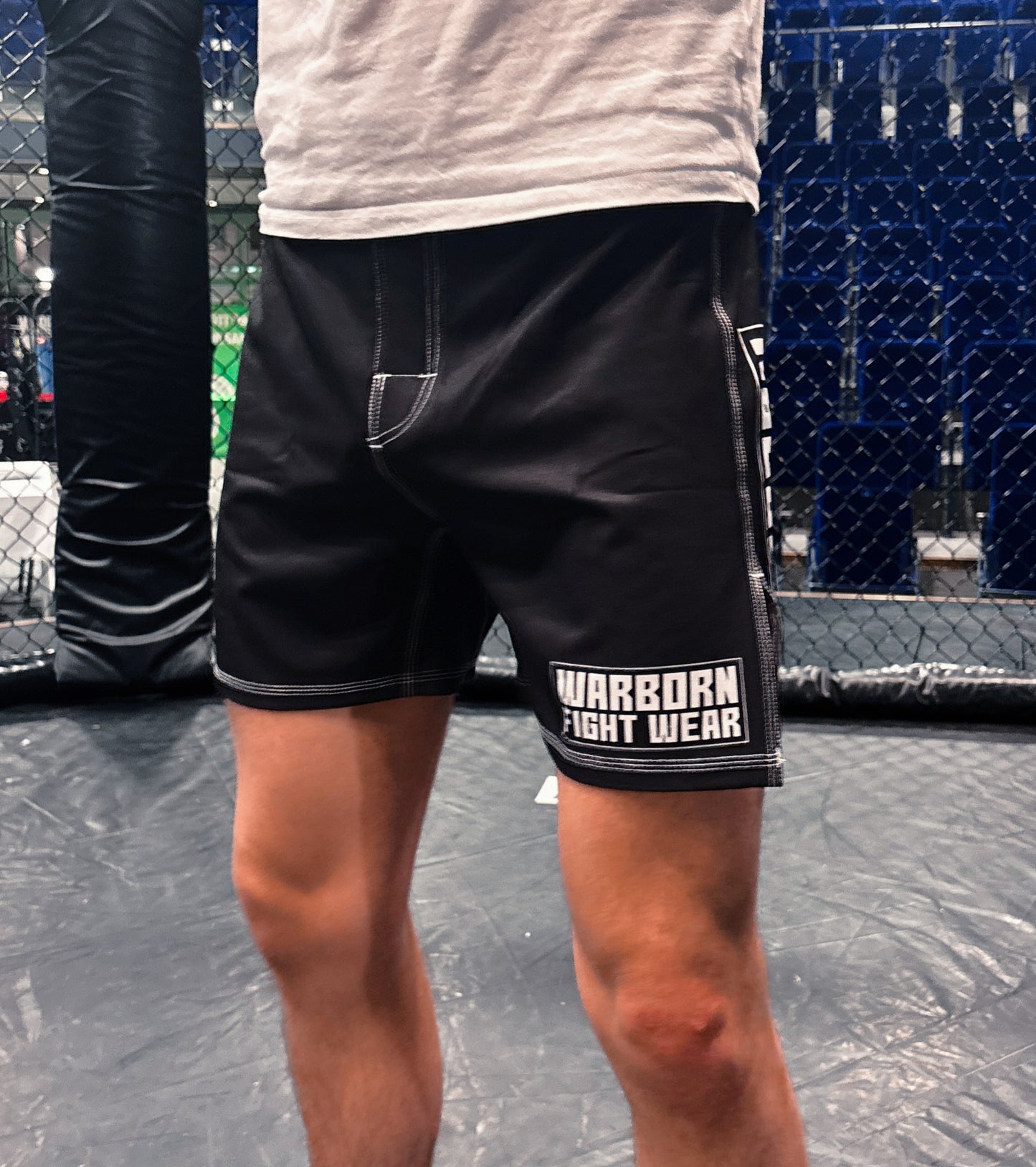 Warborn ”CLASSIC” MMA Shorts