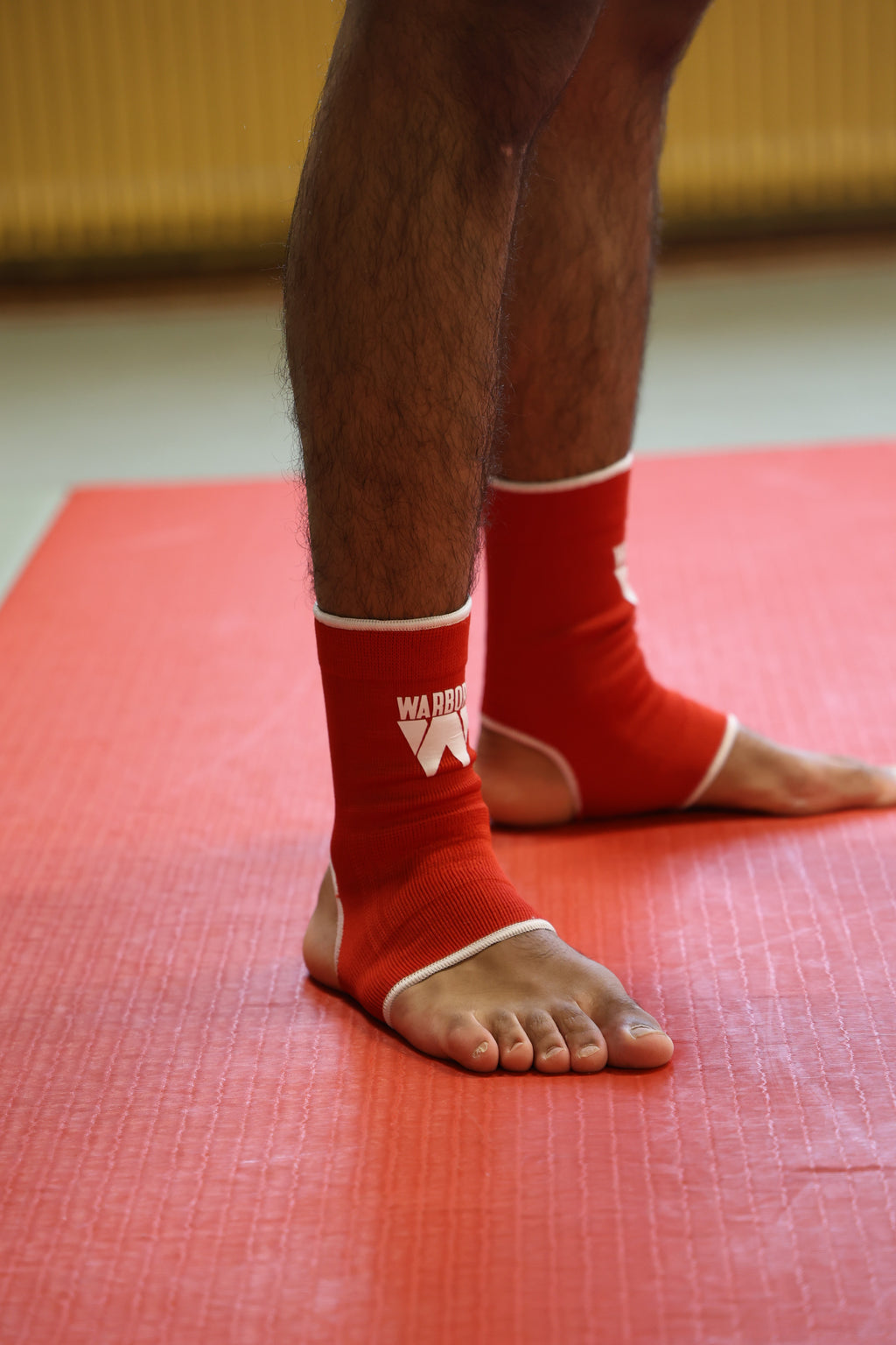 Ankle support